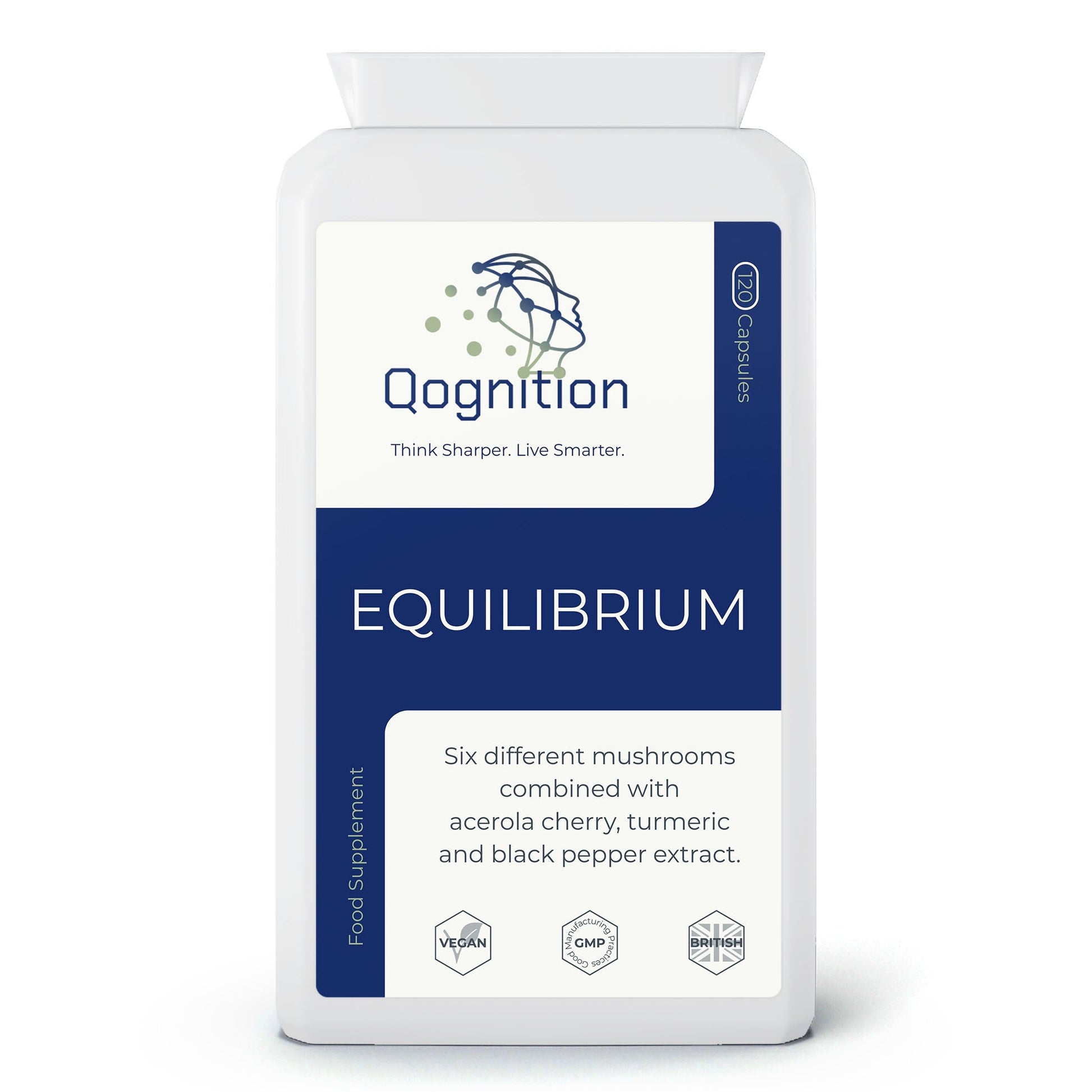 Equilibrium Qognition