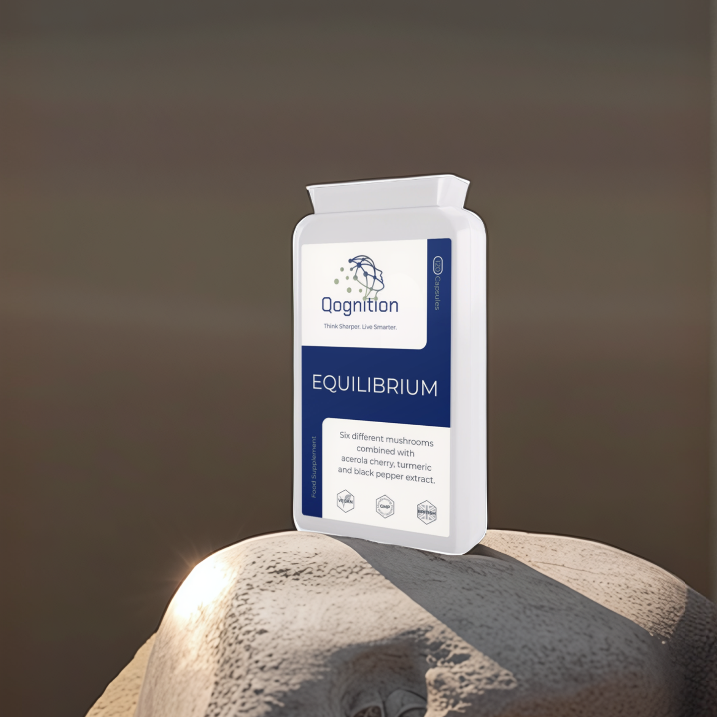 Equilibrium Qognition