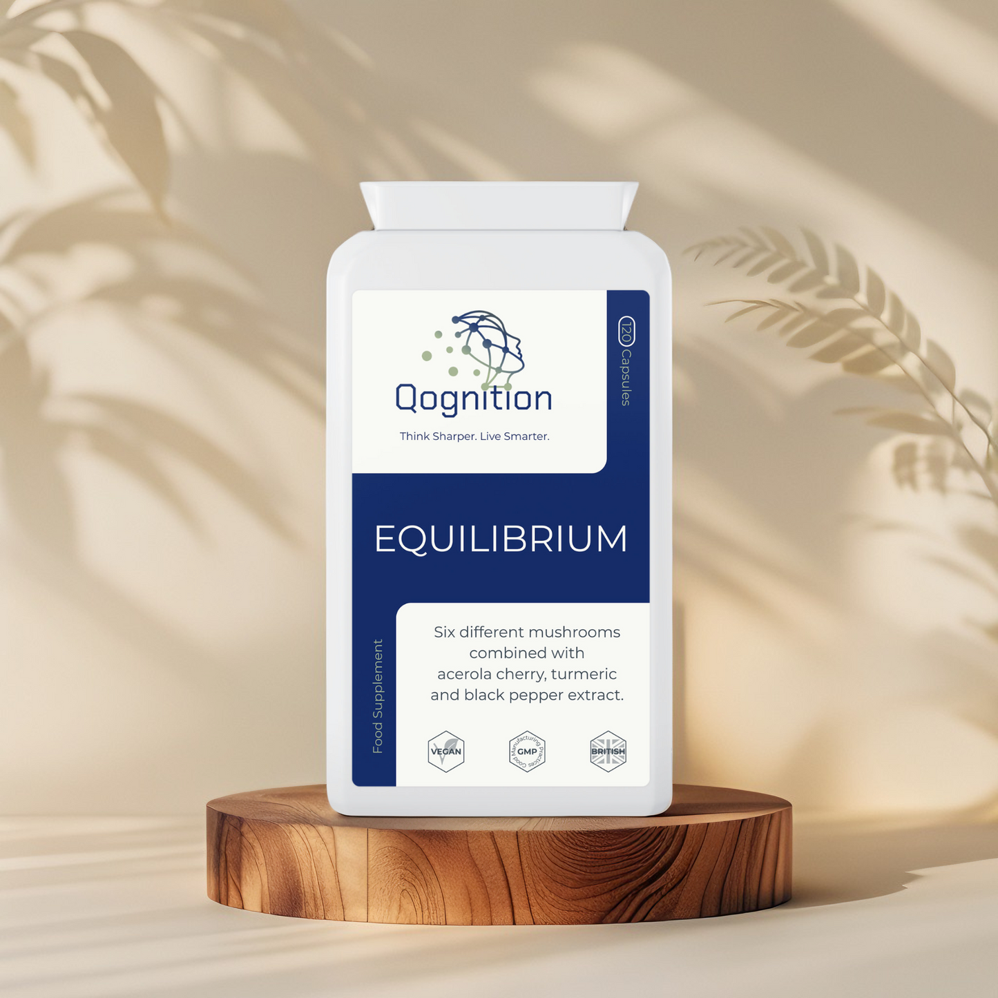 Equilibrium Qognition